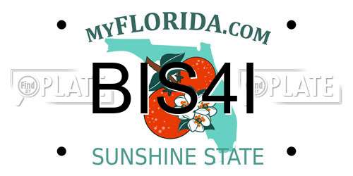 BIS4I Florida License Plate