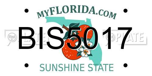 BIS5017 Florida License Plate
