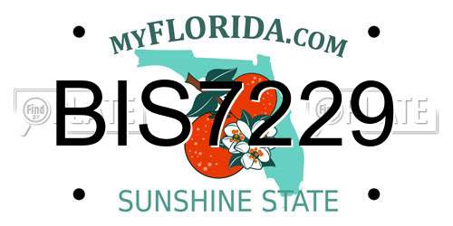 BIS7229 Florida License Plate