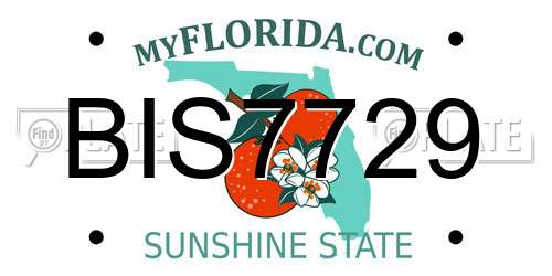 BIS7729 Florida License Plate