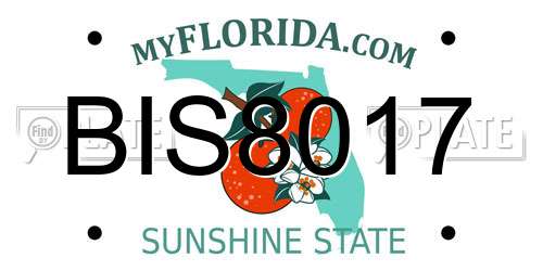 BIS8017 Florida License Plate