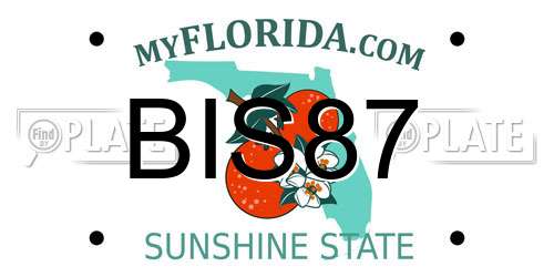 BIS87 Florida License Plate