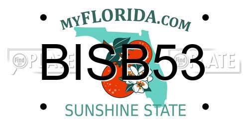 BISB53 Florida License Plate
