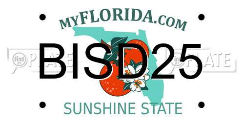 BISD25 Florida License Plate