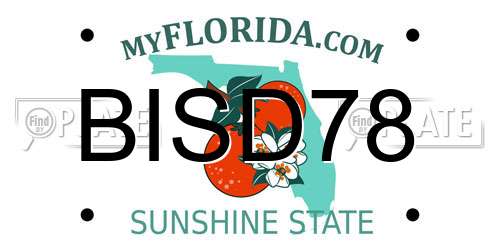 BISD78 Florida License Plate