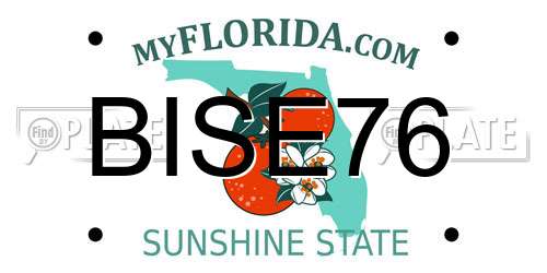 BISE76 Florida License Plate