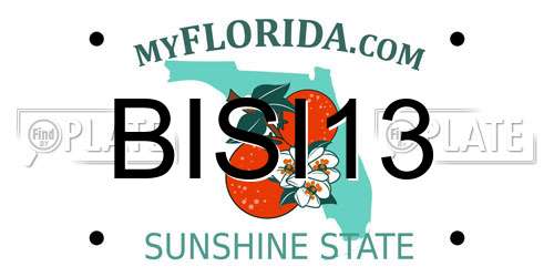 BISI13 Florida License Plate