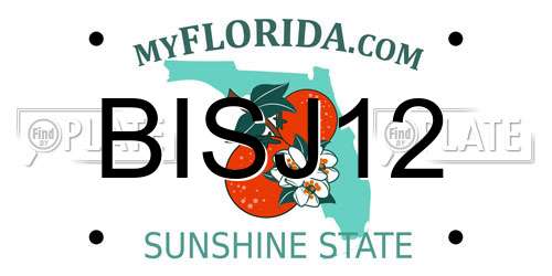 BISJ12 Florida License Plate