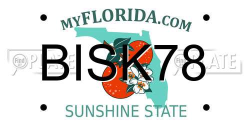 BISK78 Florida License Plate