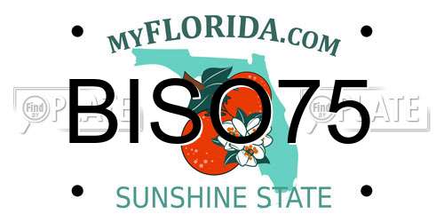 BISO75 Florida License Plate