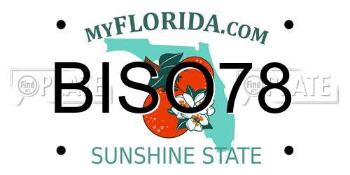 BISO78 Florida License Plate