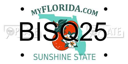 BISQ25 Florida License Plate