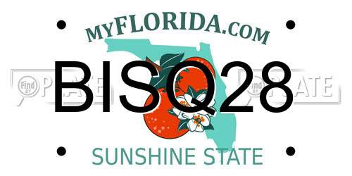 BISQ28 Florida License Plate