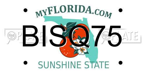 BISQ75 Florida License Plate