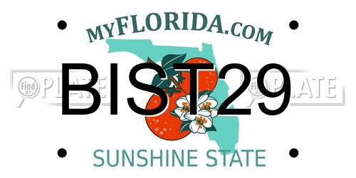 BIST29 Florida License Plate