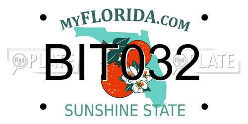 BIT032 Florida License Plate