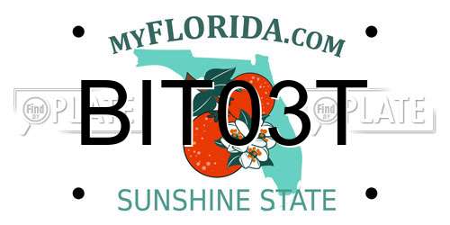 BIT03T Florida License Plate