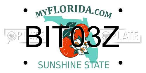 BIT03Z Florida License Plate