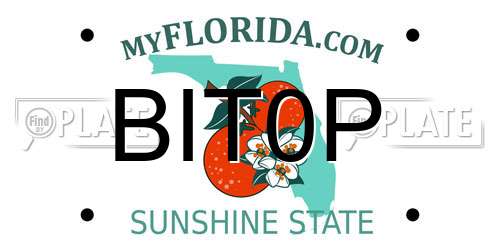 BIT0P Florida License Plate
