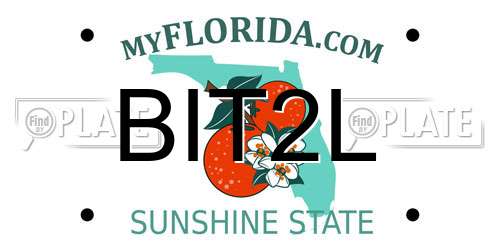 BIT2L Florida License Plate
