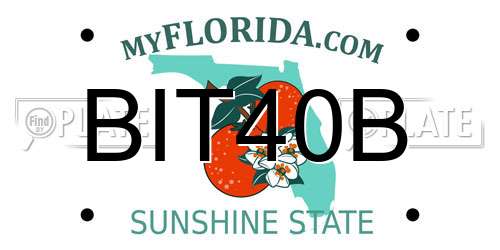 BIT40B Florida License Plate