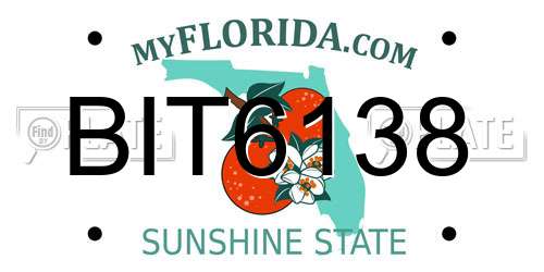 BIT6138 Florida License Plate