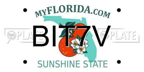 BIT7V Florida License Plate