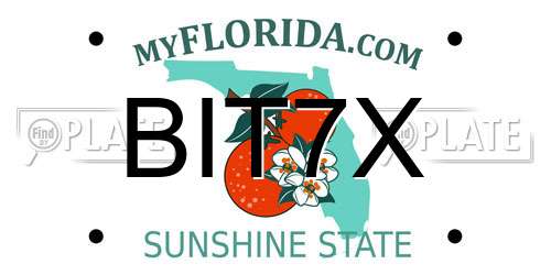 BIT7X Florida License Plate