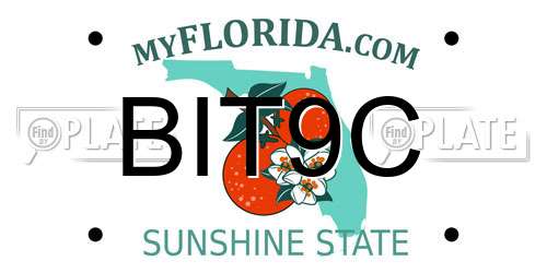 BIT9C Florida License Plate