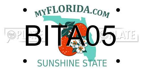 BITA05 Florida License Plate