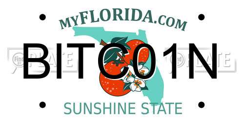 BITC01N Florida License Plate