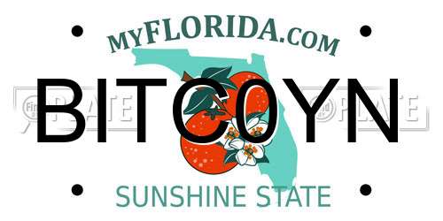 BITC0YN Florida License Plate