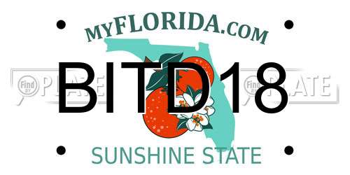 BITD18 Florida License Plate