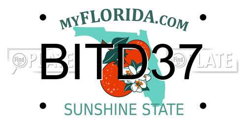 BITD37 Florida License Plate