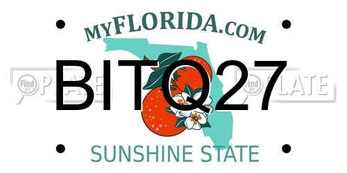 BITQ27 Florida License Plate