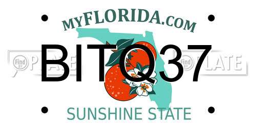 BITQ37 Florida License Plate