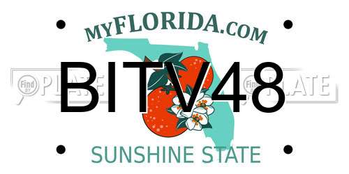 BITV48 Florida License Plate
