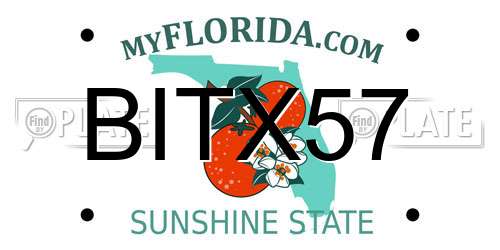 BITX57 Florida License Plate