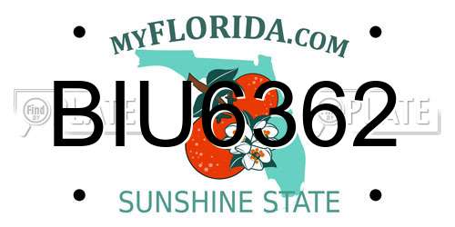 BIU6362 Florida License Plate