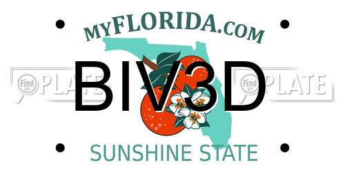 BIV3D Florida License Plate