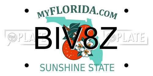 BIV8Z Florida License Plate