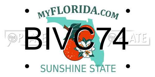 BIVC74 Florida License Plate