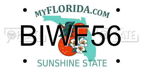 BIWF56 Florida License Plate
