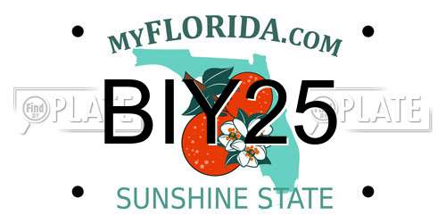 BIY25 Florida License Plate