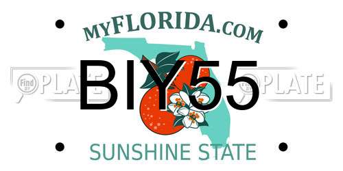 BIY55 Florida License Plate