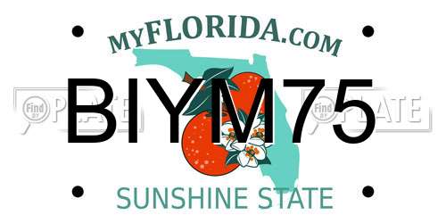 BIYM75 Florida License Plate