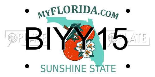 BIYY15 Florida License Plate