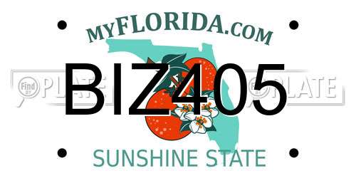 BIZ405 Florida License Plate