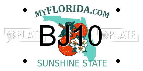 BJ10 Florida License Plate