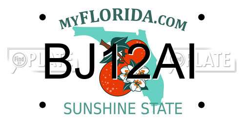 BJ12AI Florida License Plate